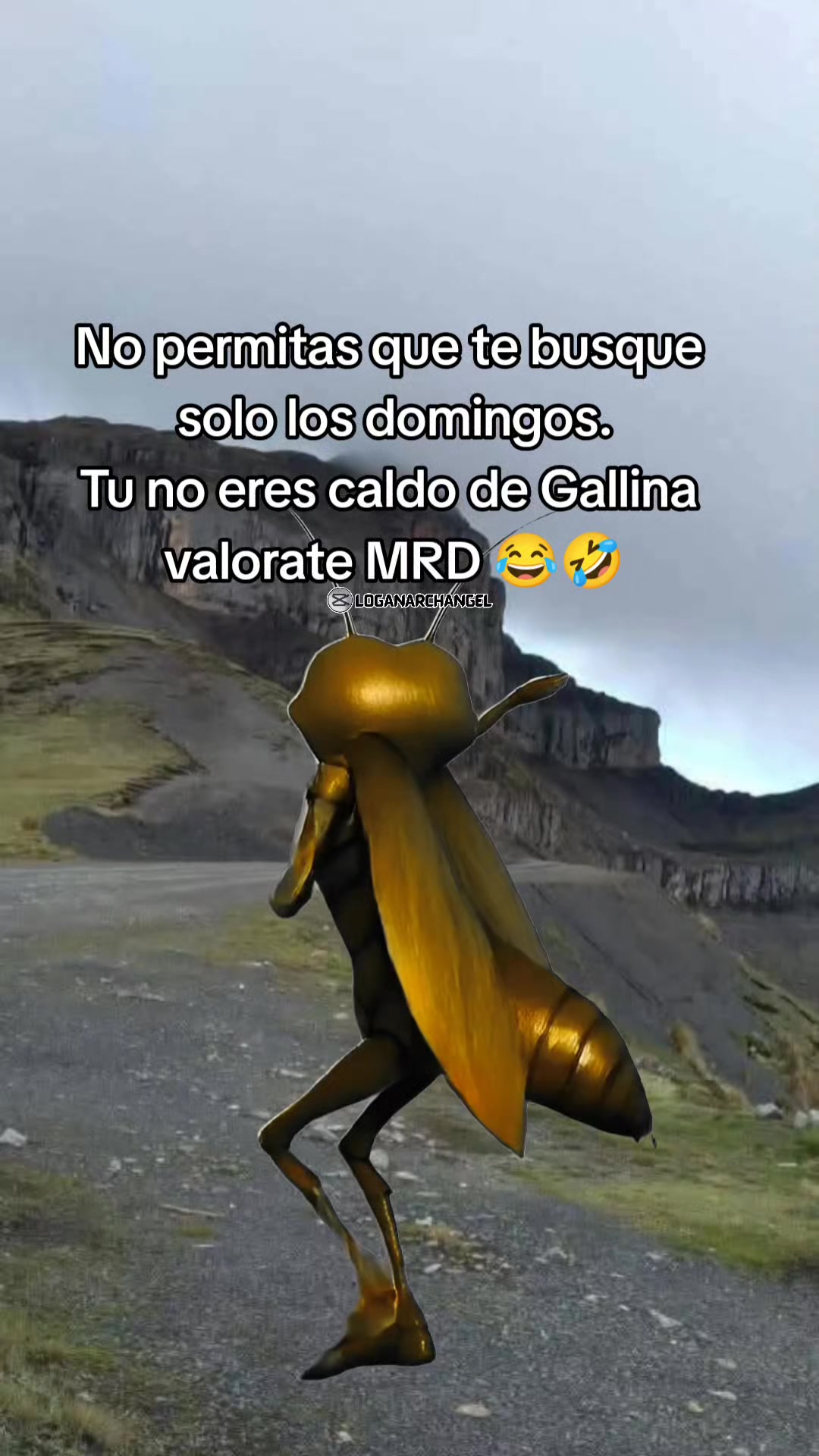 @Fanny Quispe❤️