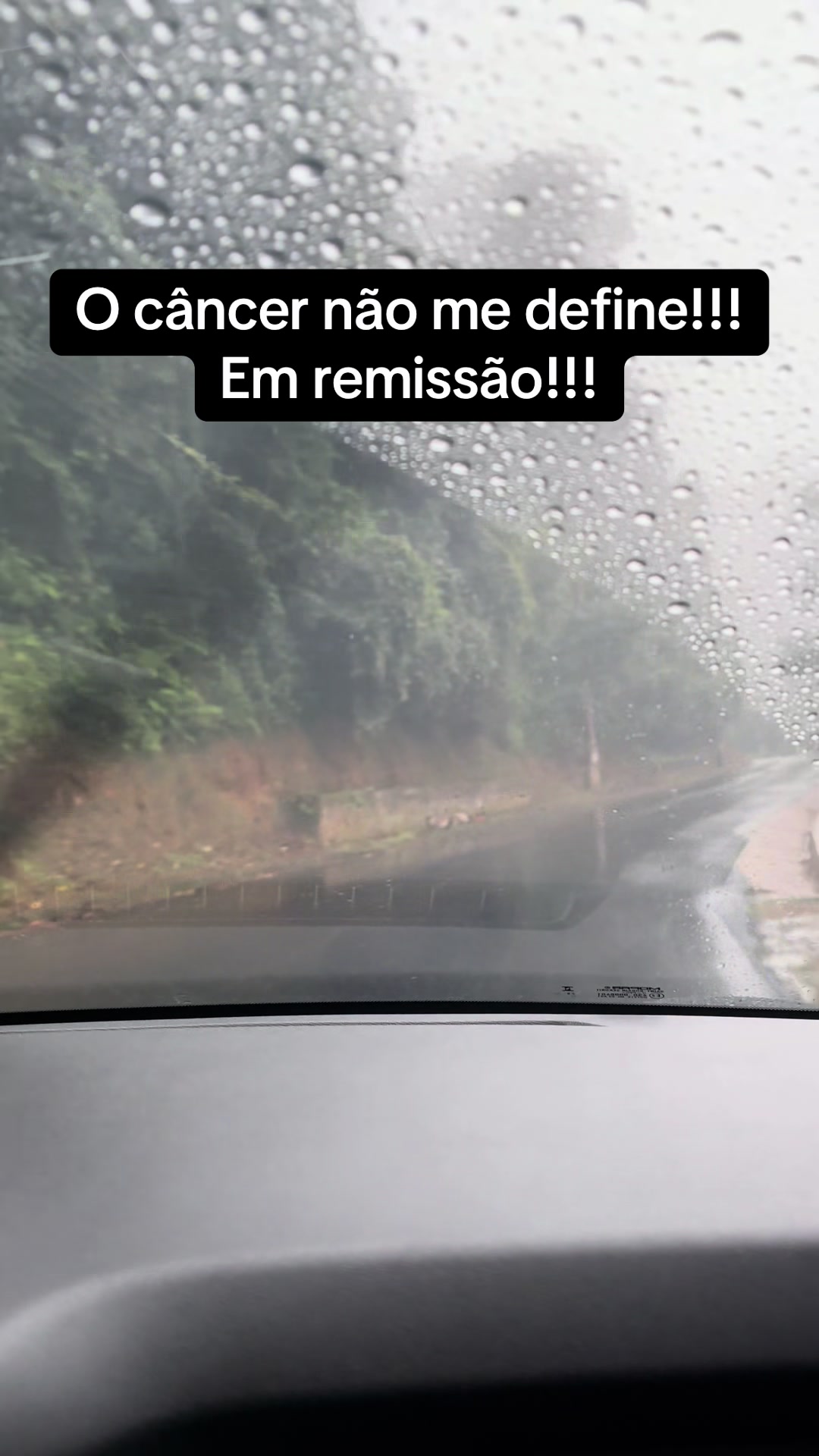 @andreia leal