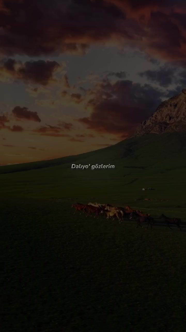 @𝙫𝙞𝙥 𝙡𝙮𝙧𝙞𝙘𝙨