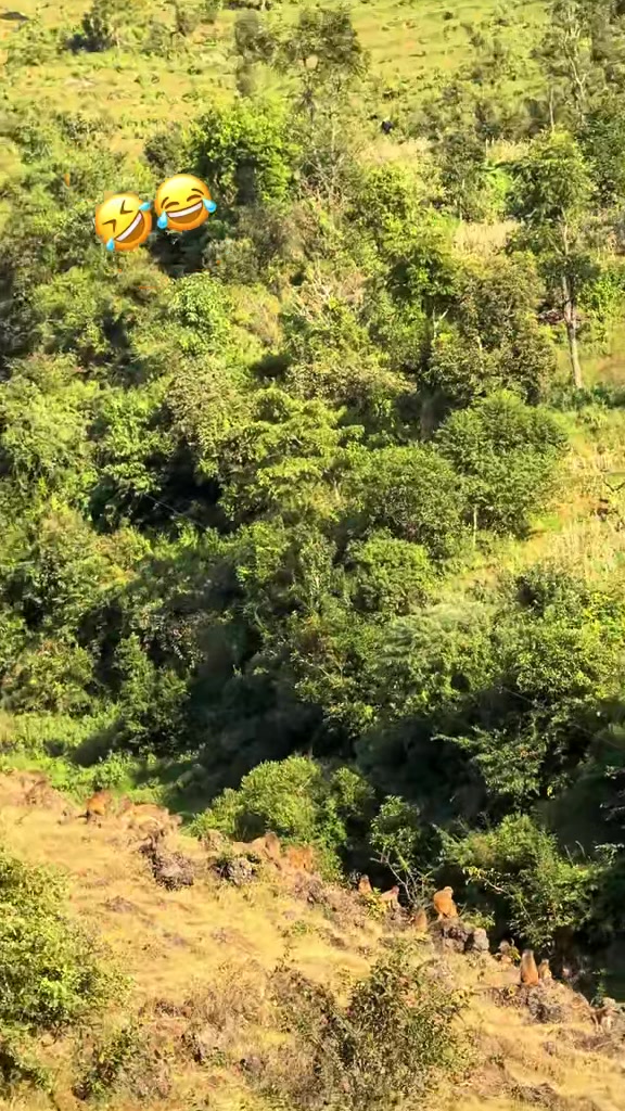 @RajEsh  🦅