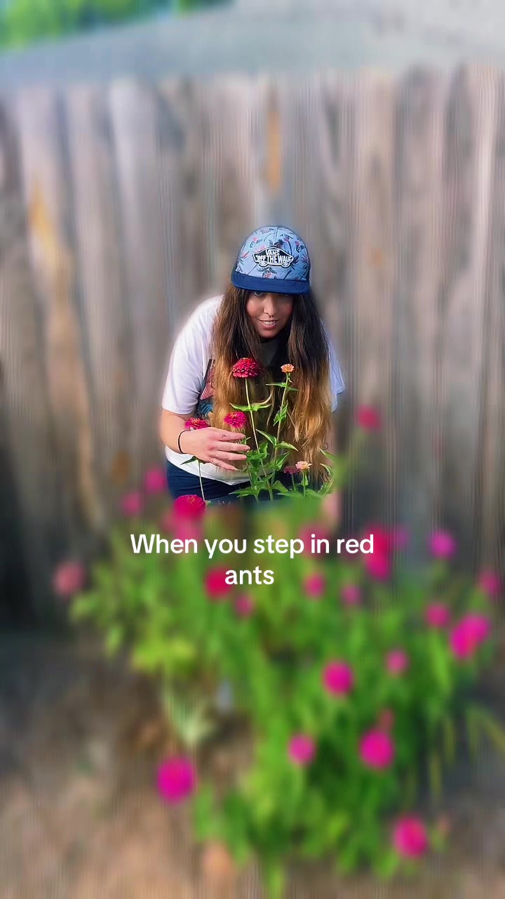 @fishheadjankins