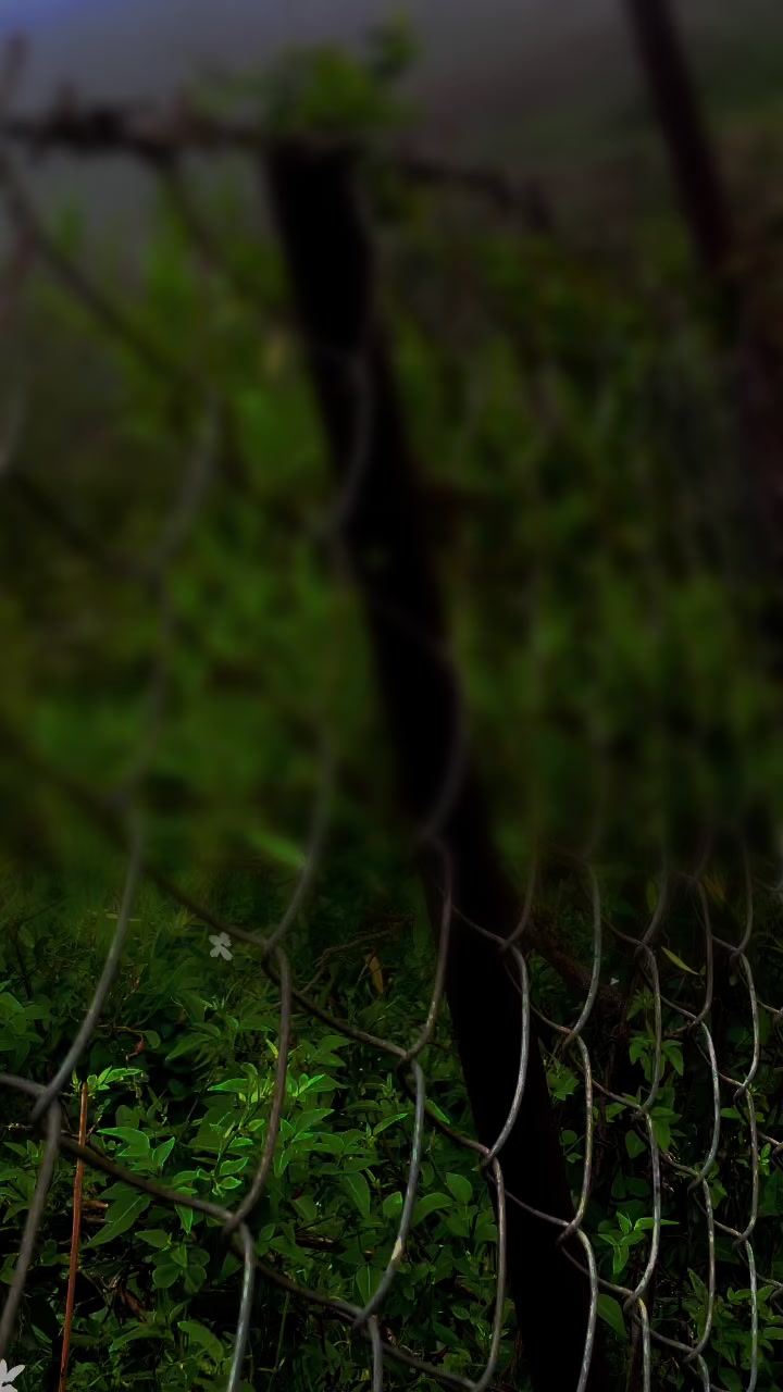 @𝑀𝑂𝐻𝐴𝑀𝑀𝐴𝐷