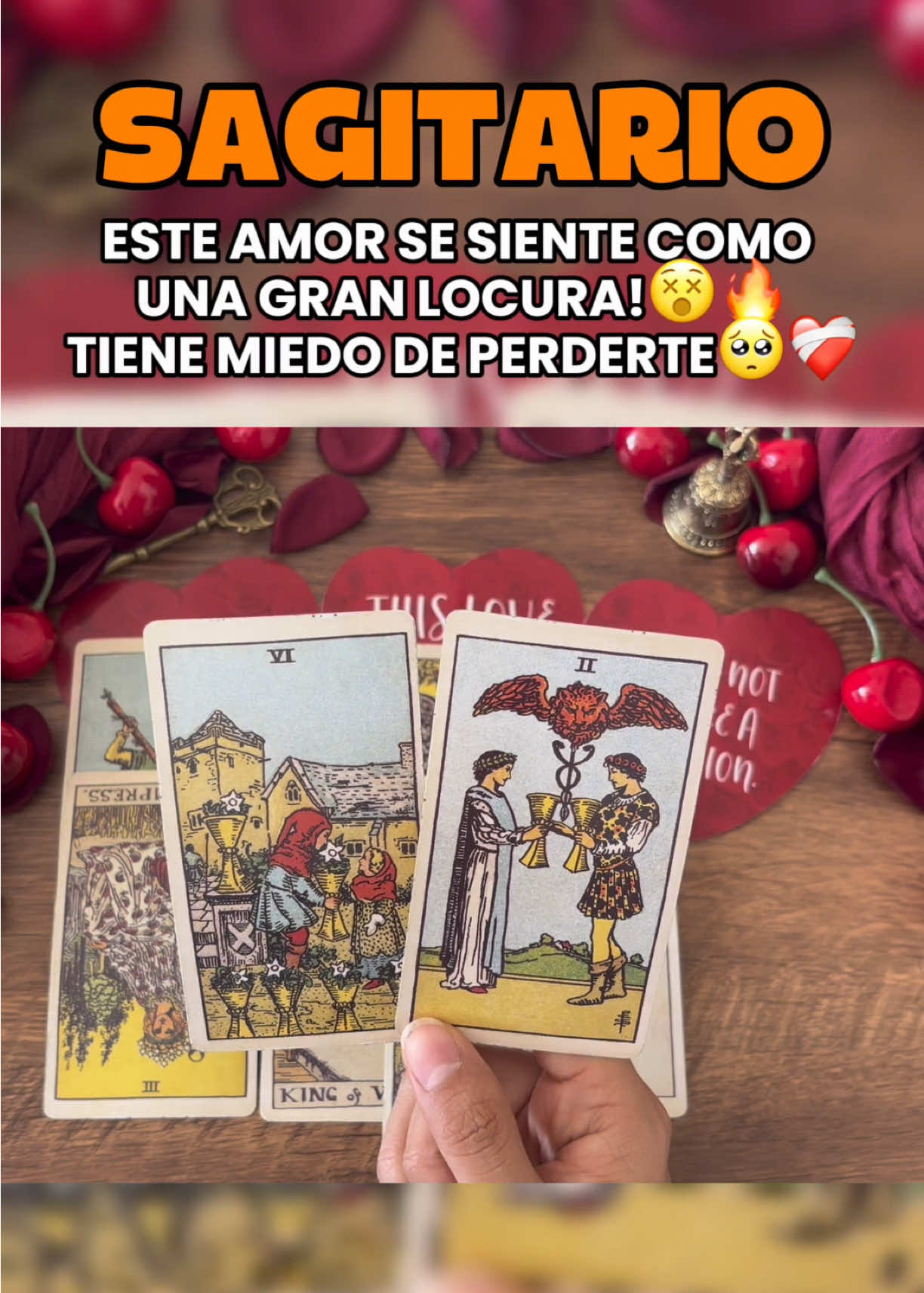 @Andy Sun Tarot ☀️