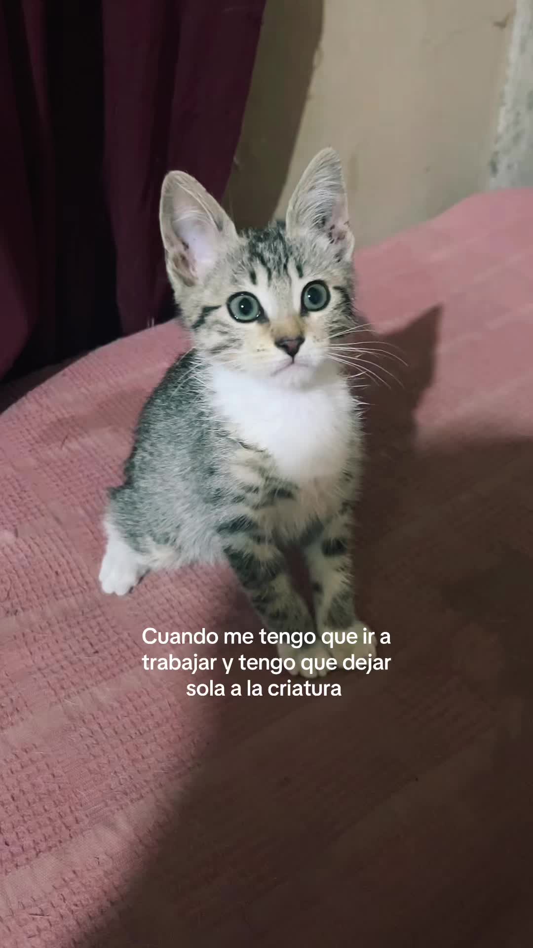 @Josefina