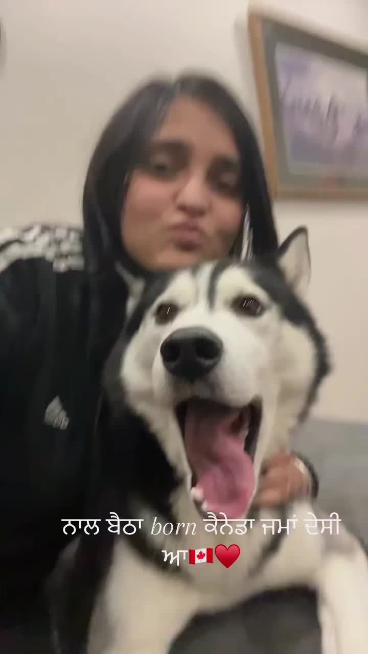 @dapinderkaurdhaliwal