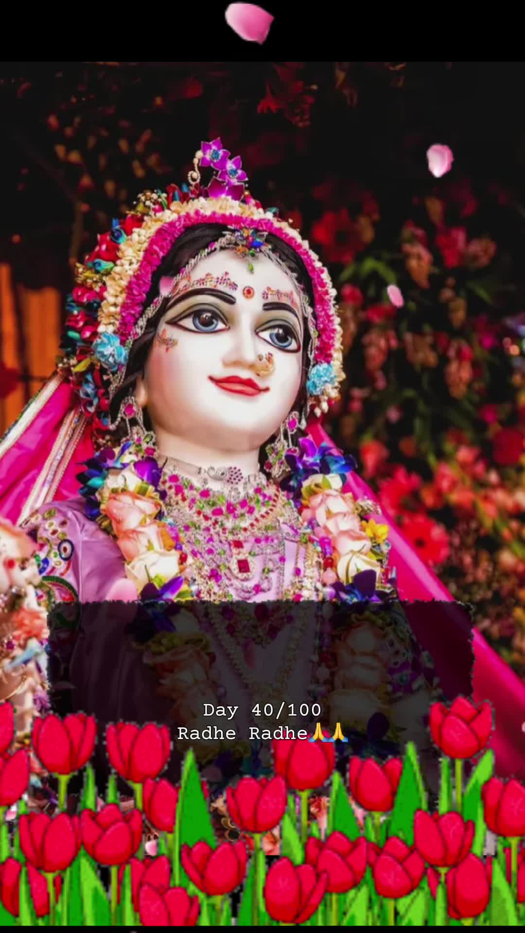 @RadheKrishna🦚🦚🙏🙏