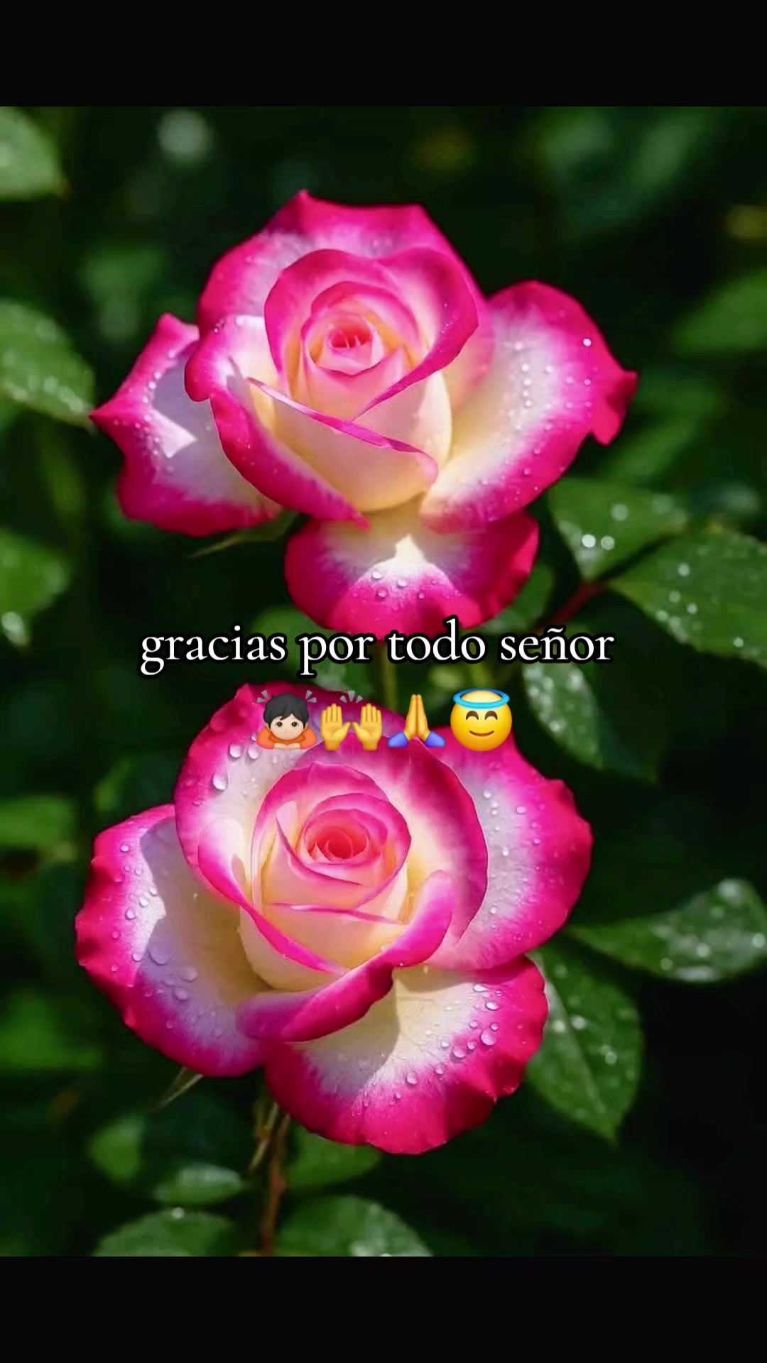 @@ cruz