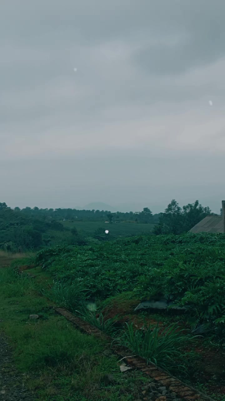 @𝑹𝒛_𝑳𝒂𝑾𝒘