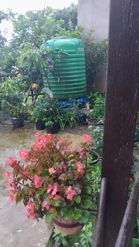 @❤️🌷❤️🥀❤💐