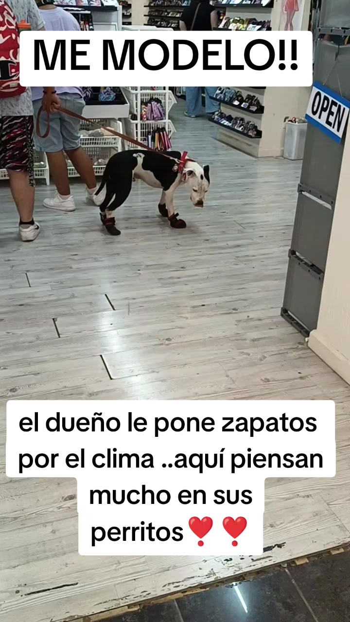 @Andreina