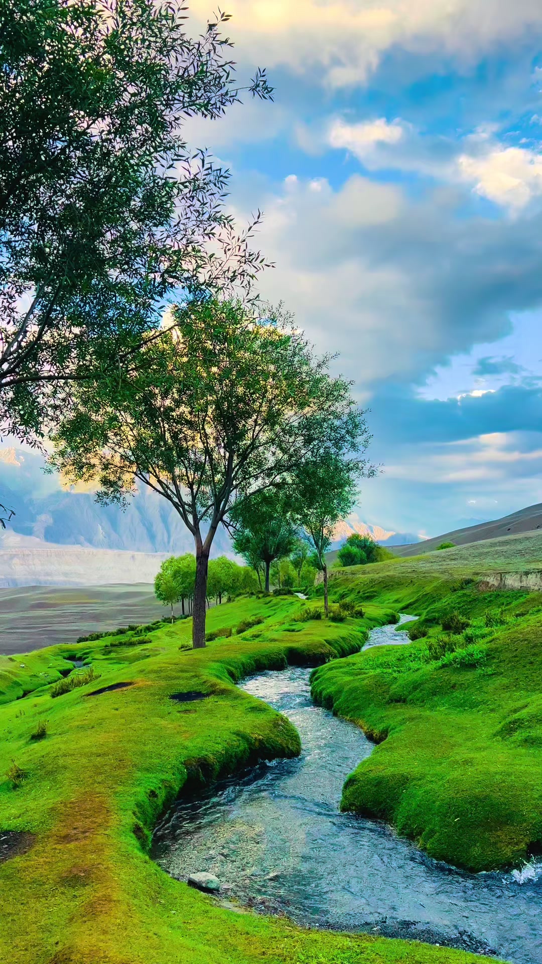 @Vista_Skardu