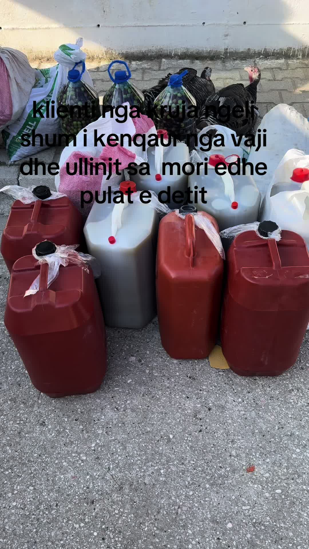 @fabrik vaj ulliri Luan Bengaj