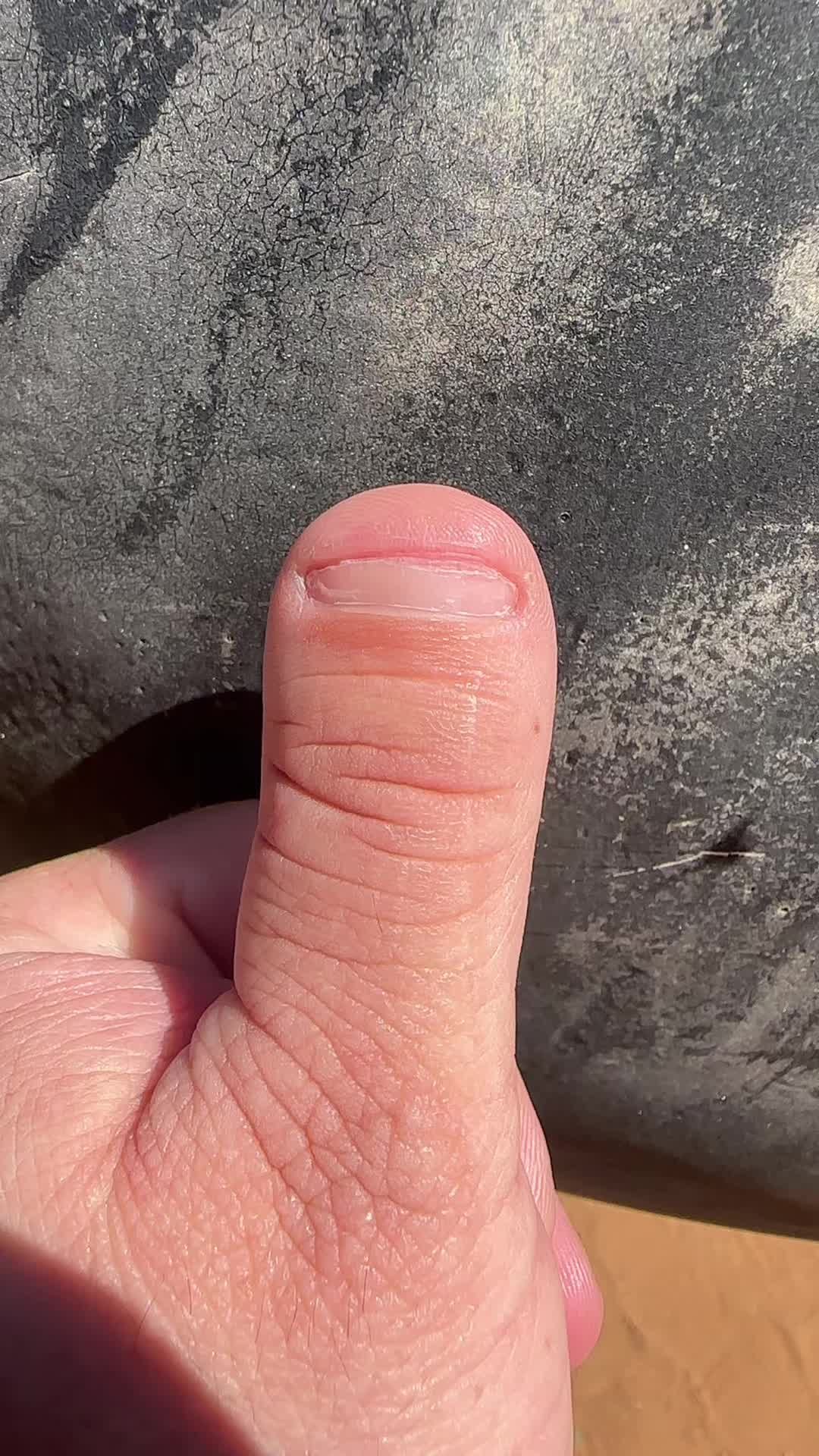 @Thumb on Tour