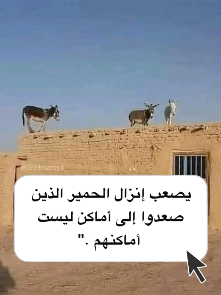 @طارق عبد الوهاب 🇩🇿