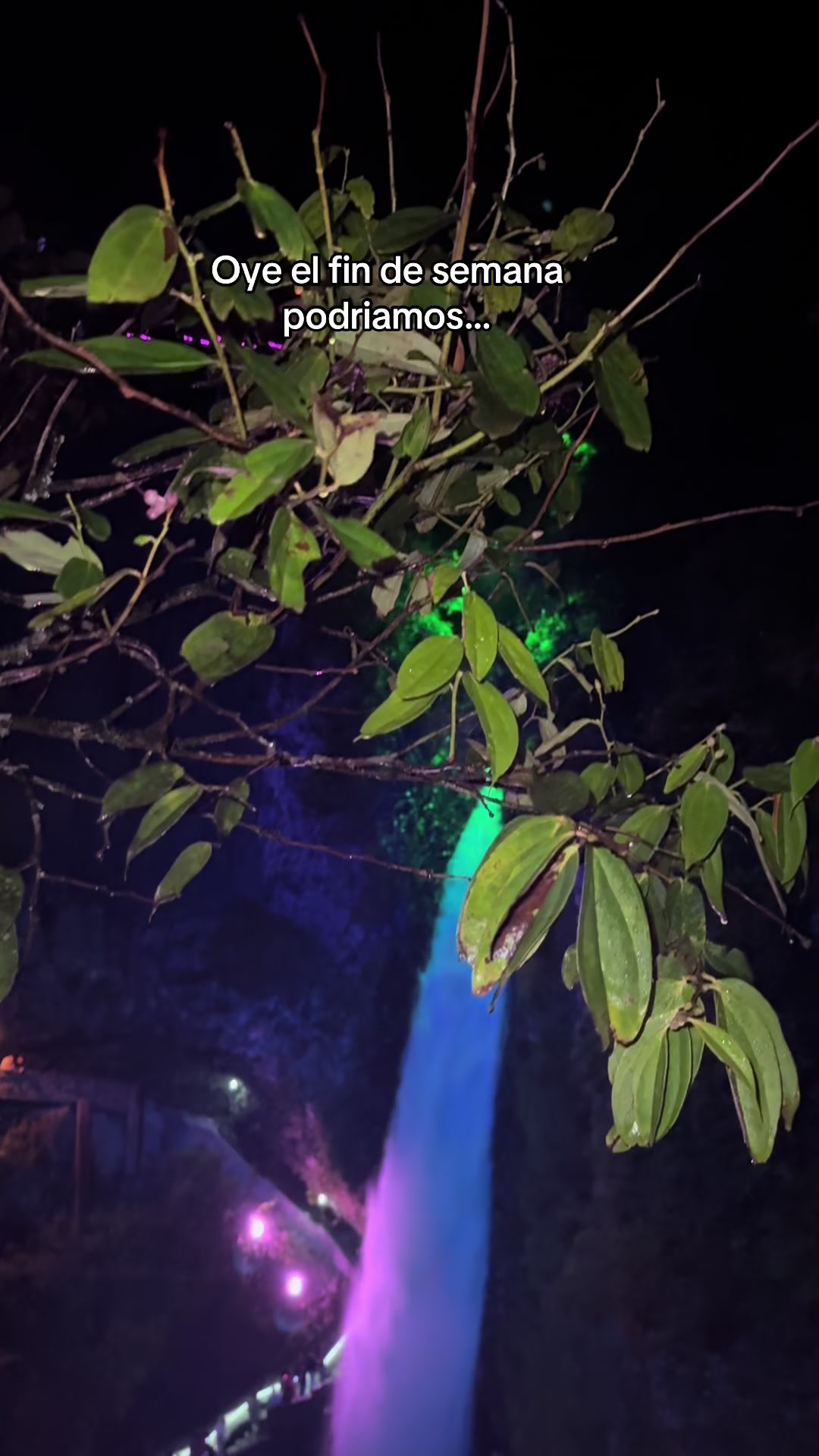 @Amazonia Vive💚(Wlady)🇪🇨😎