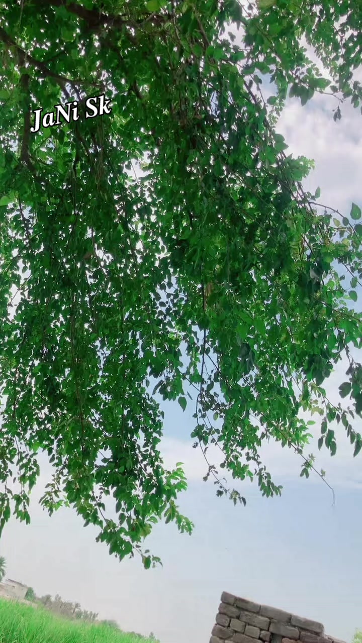 @꧁༒❦ 𝑰𝒕𝒔 𝑱𝒂𝑵𝒊 ❦༒꧂