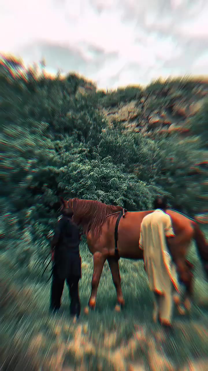 @مرکزی ذوالجناح تلہ گنگ