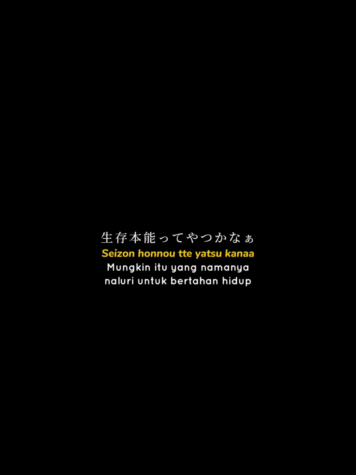 @๐บ๐๐๐๐ๆช็
