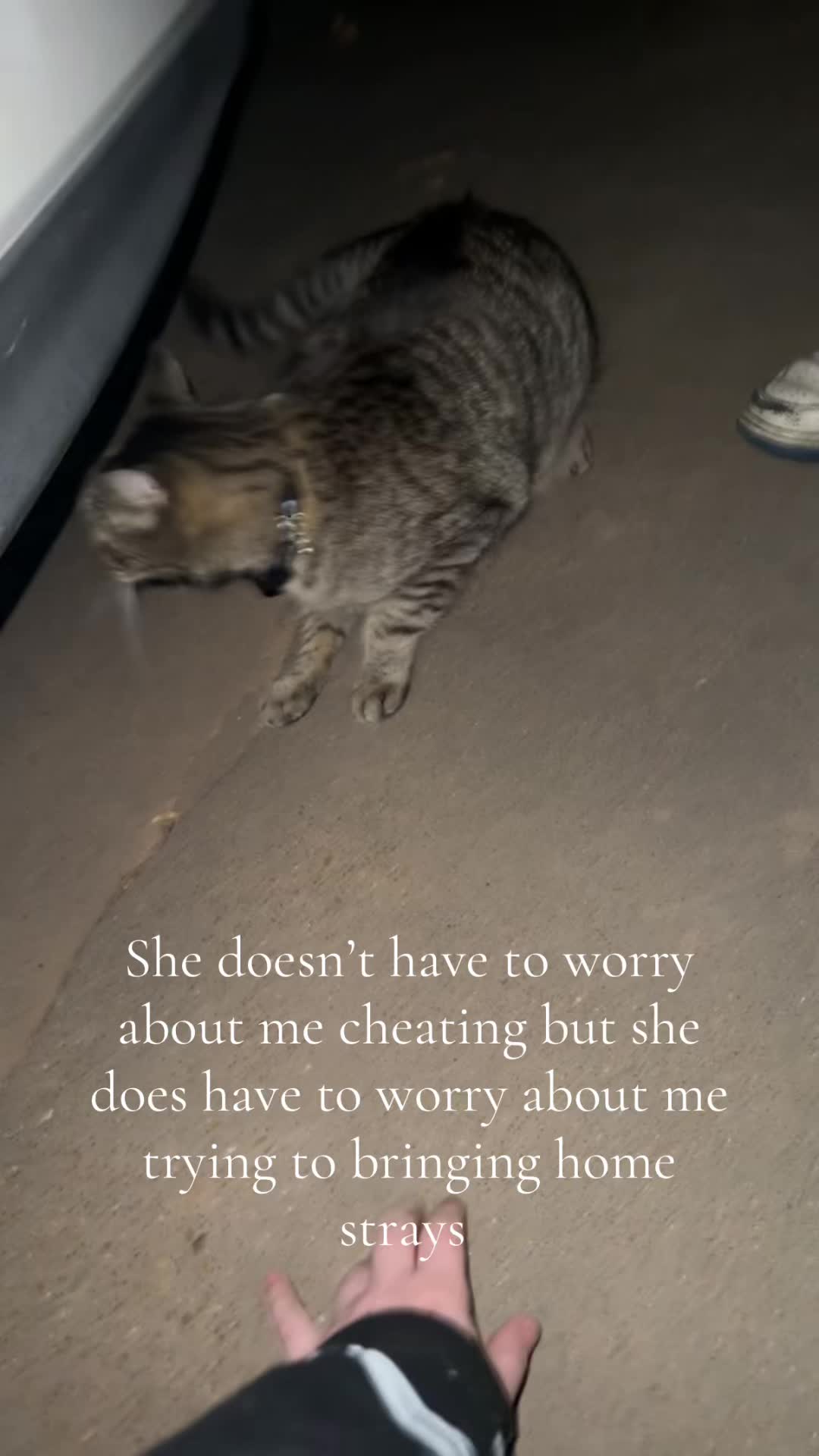 @️ ꨄ𝐏 𝐀 𝐑 𝐈 𝐒 ꨄ