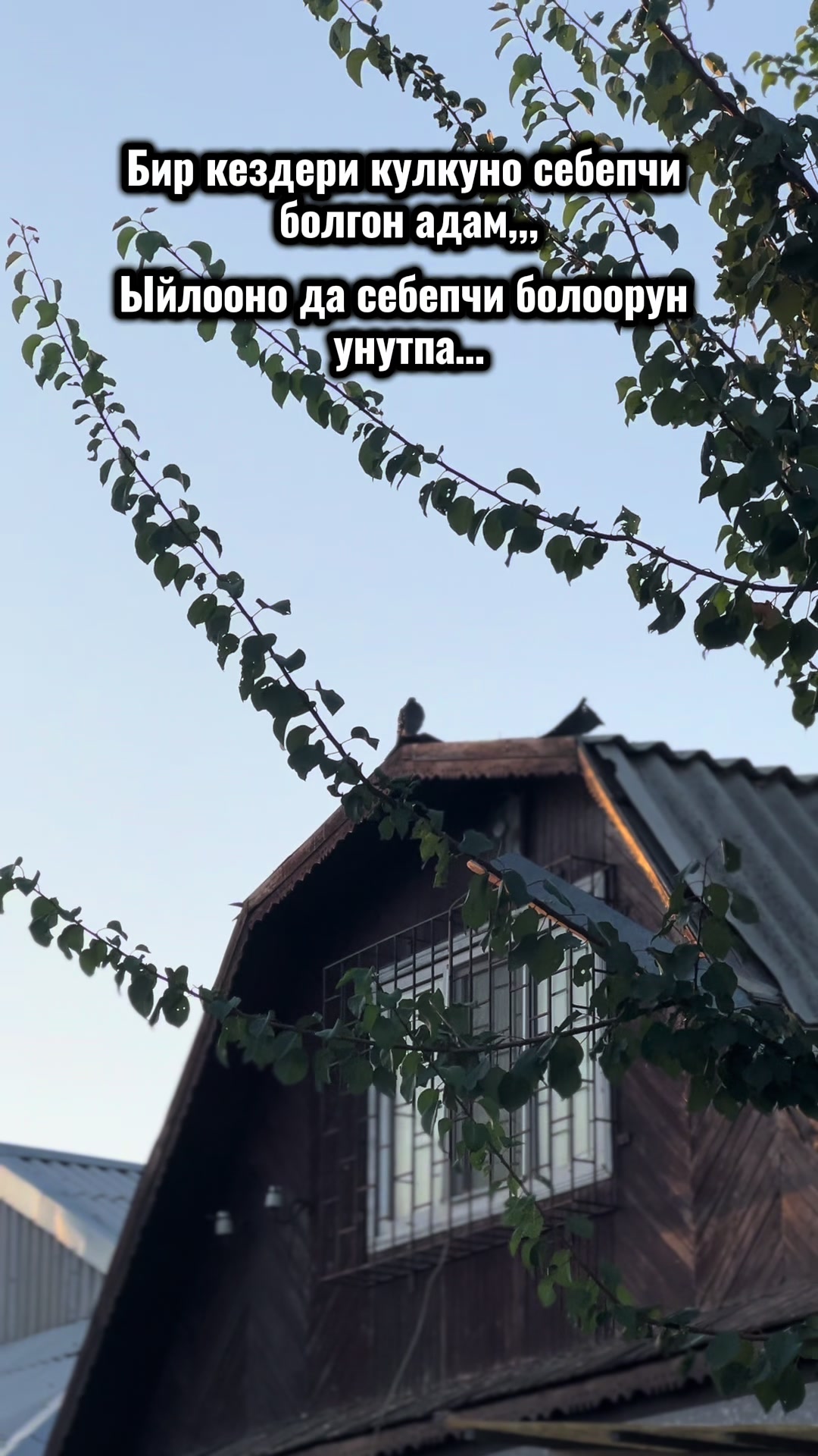 @💫💫ГУЛНАЗ БАТКЕН 76💫💫