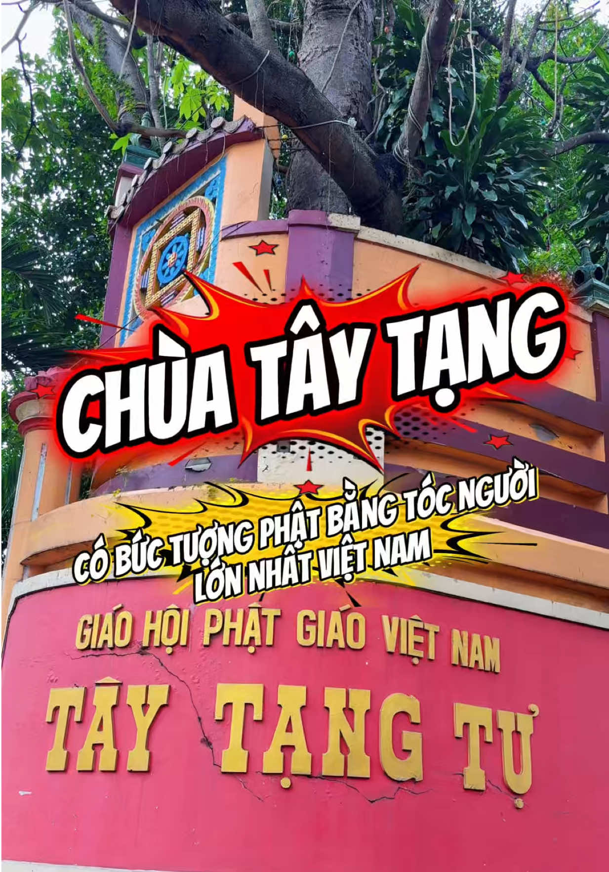 @R&Igrave; VIU B&Igrave;NH DƯƠNG