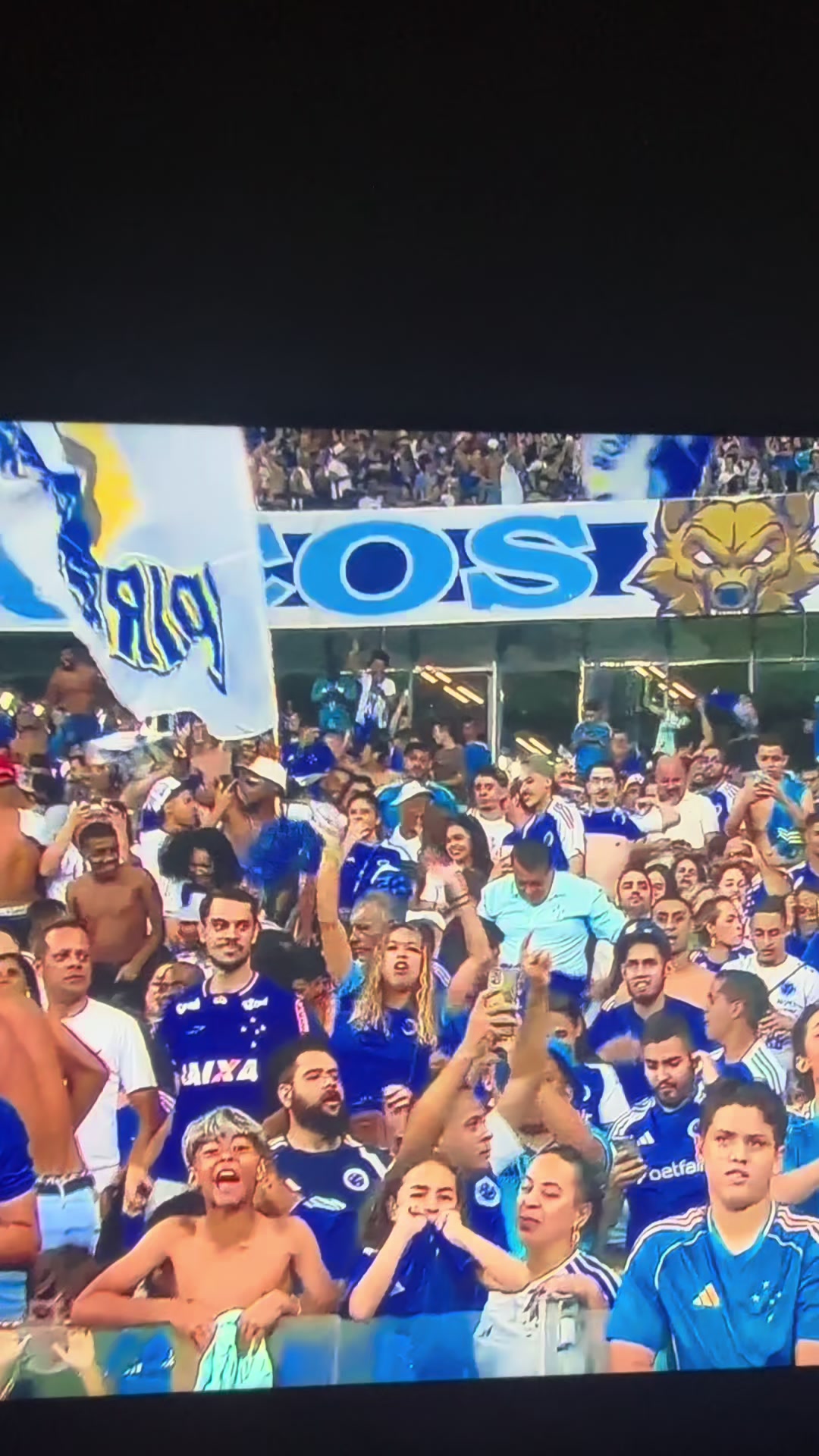 @Link do Cruzeiro