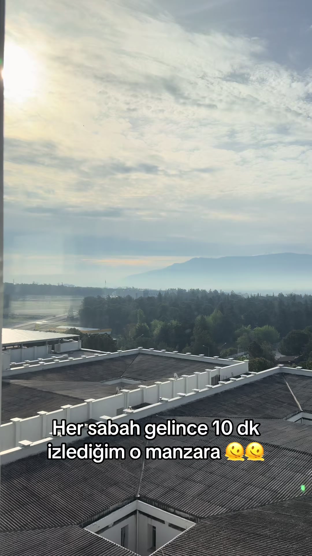 @merveyaselin