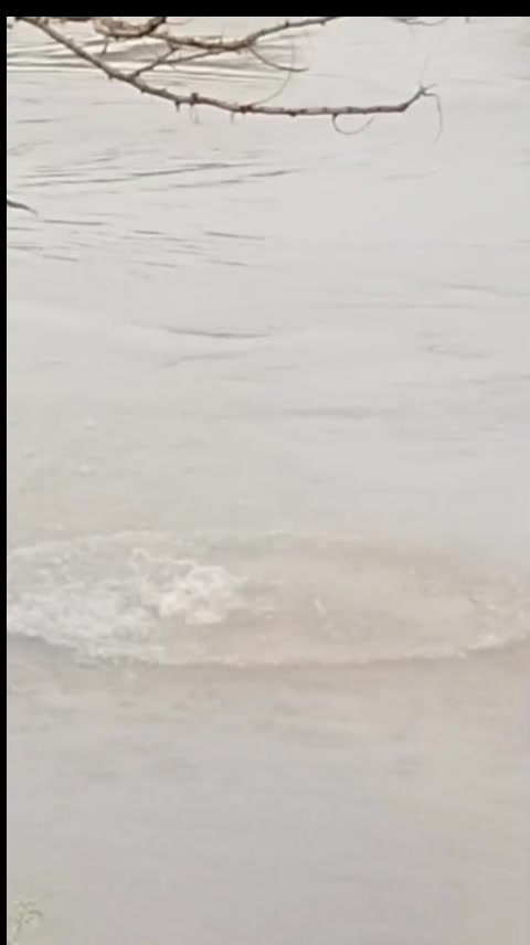 @🏴&zwj;☠️راجپوت🏴&zwj;☠️