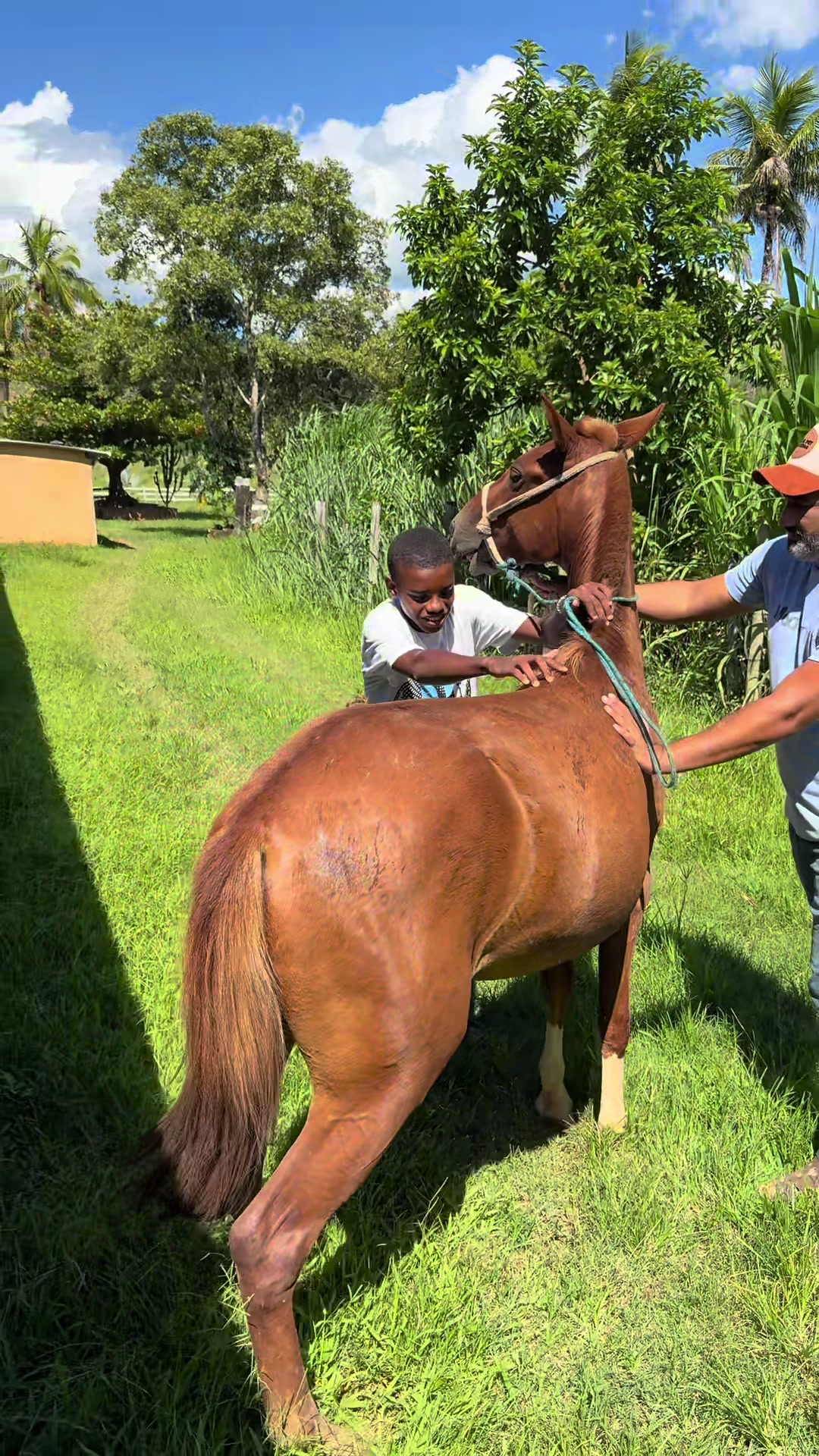 @Haras Recanto do Saraquino
