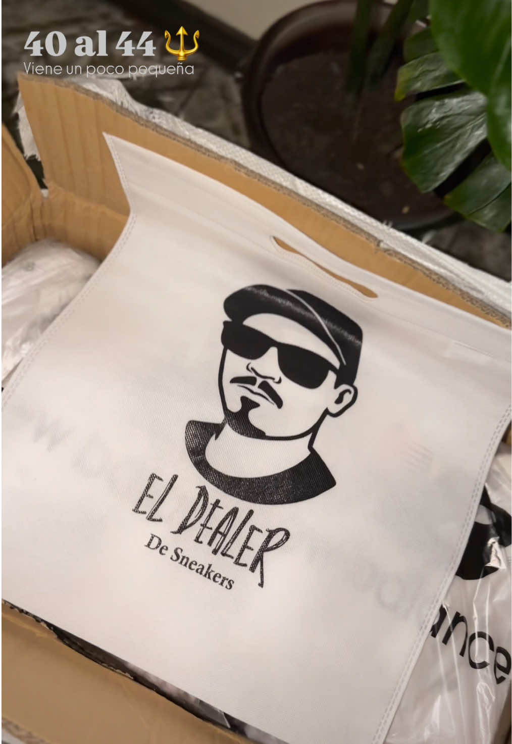 @Dealer Sneakers