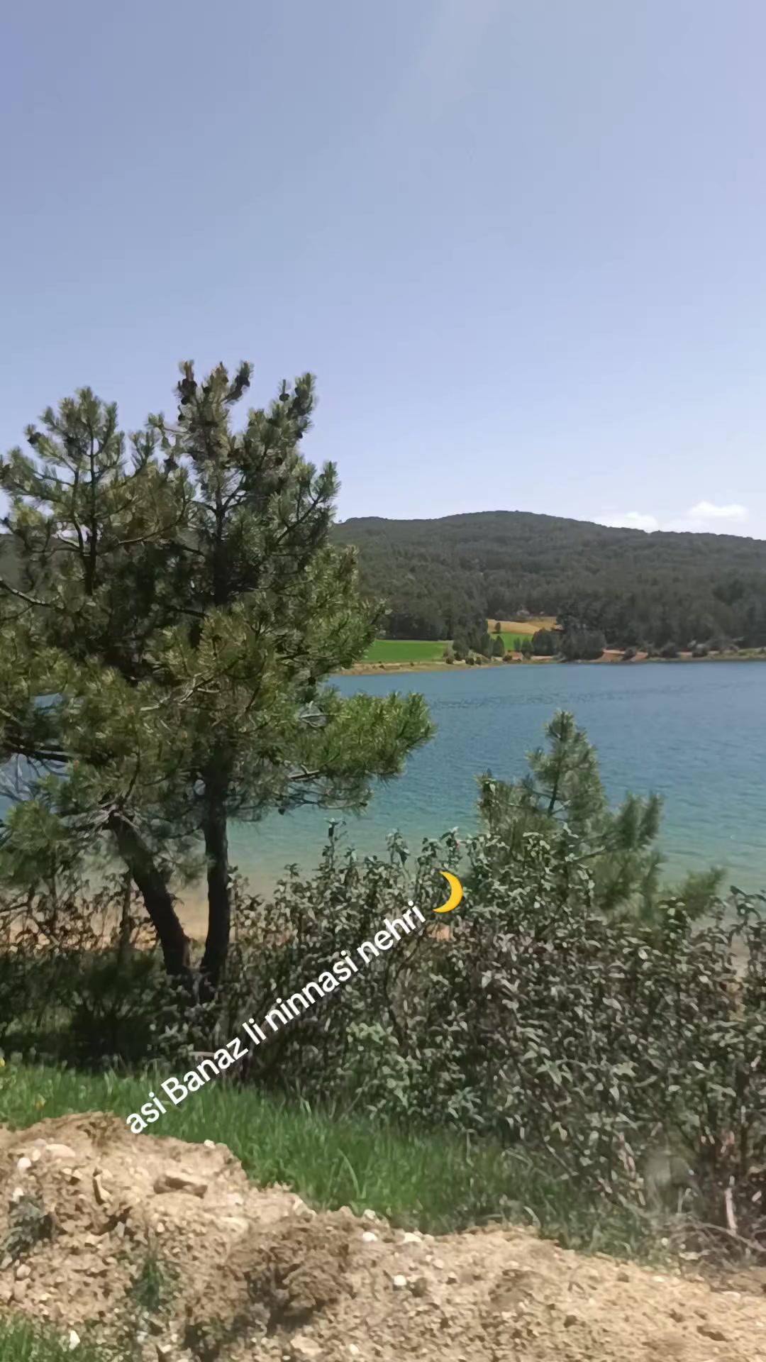 @SÜREYYA HANIM. 64