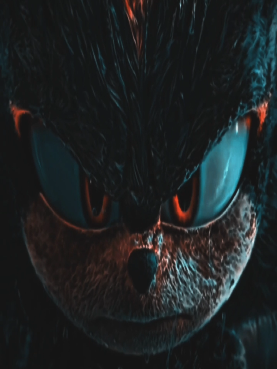 @𝙧𝙞𝙘𝙠𝙙𝙞𝙩𝙯