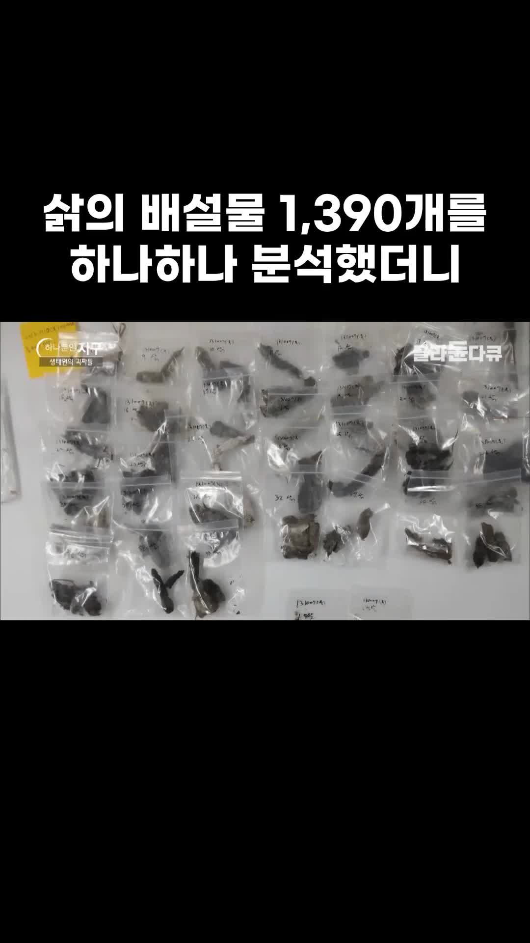 @EBS 다큐