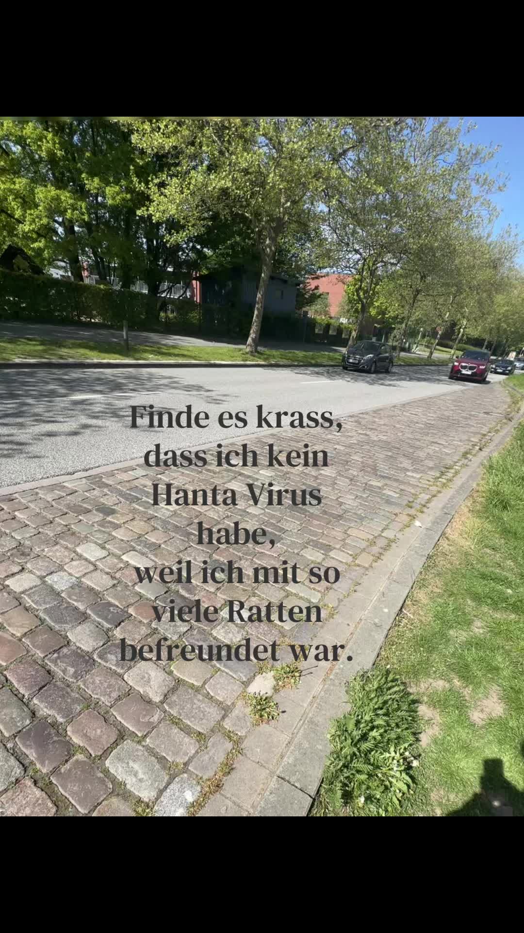 @km.sx