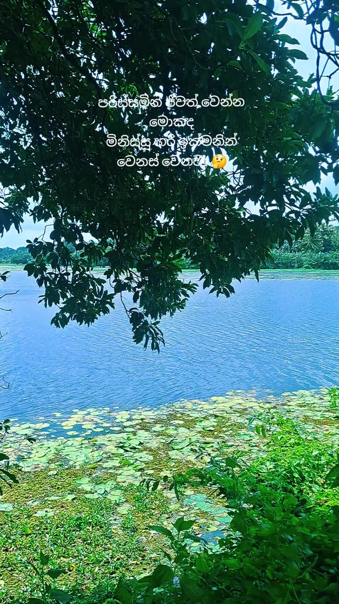 @❤️🤩උමාශි🤩❤️