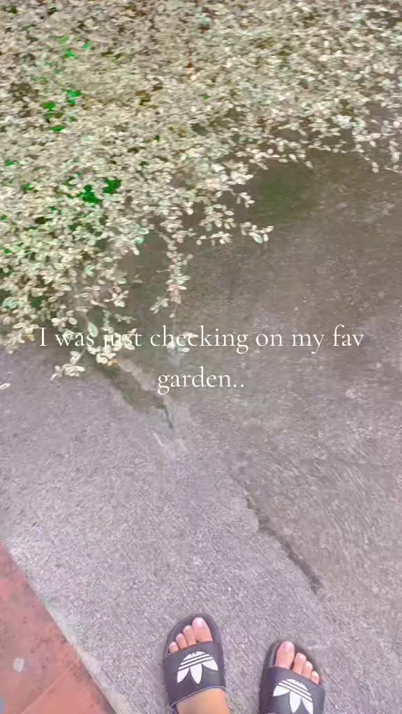@˚₊‧꒰ა ɑׁׅׅ꯱hׁׅ֮ ໒꒱ ‧₊˚