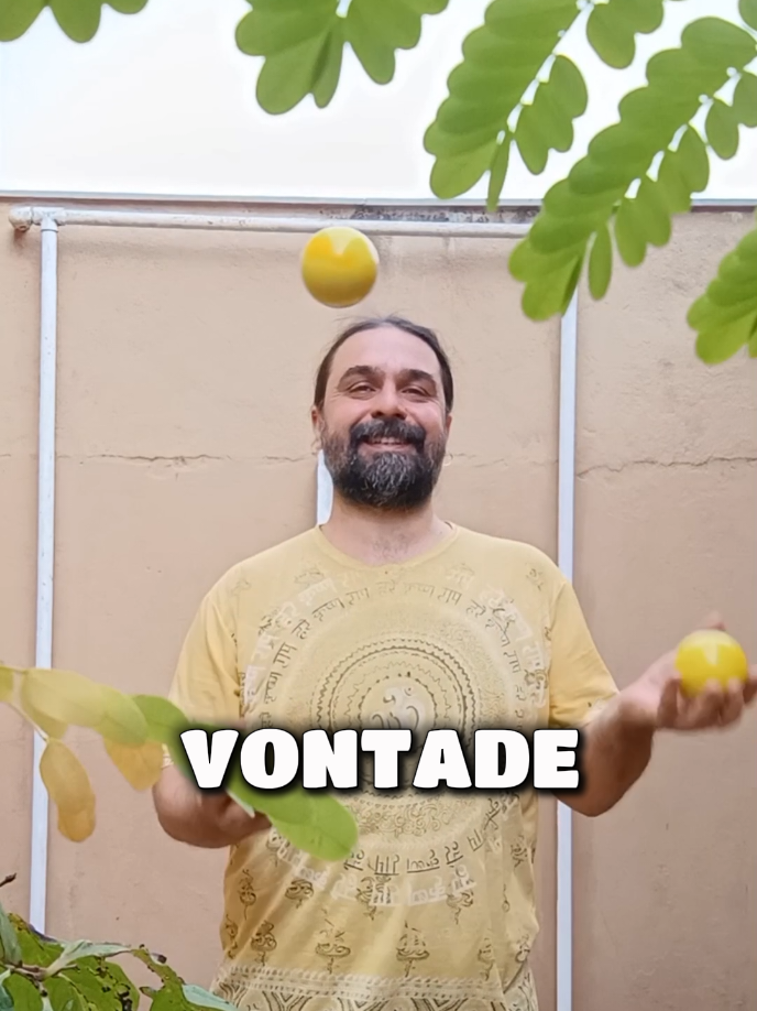 @Fabio Ferracini