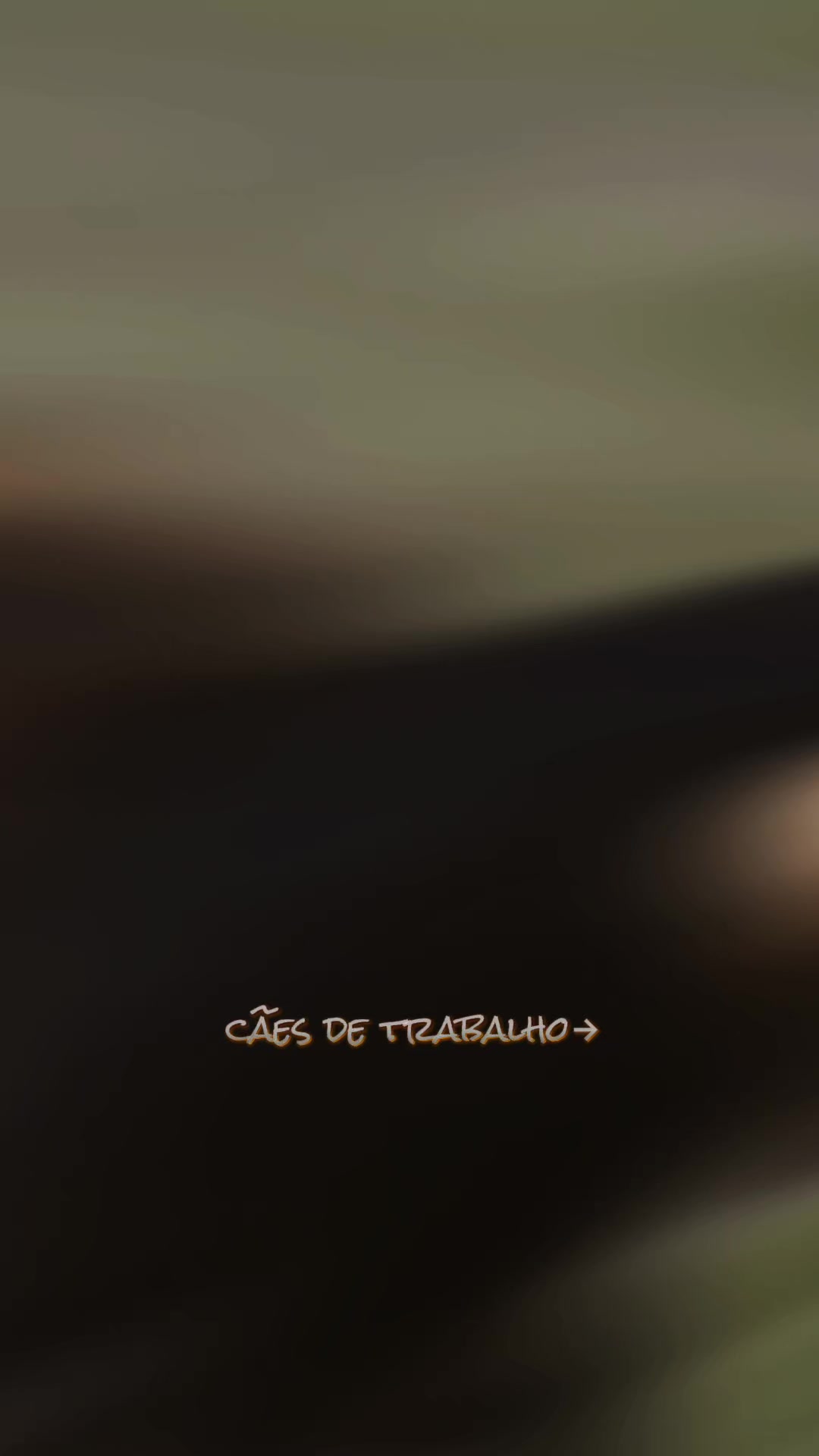 @🇧🇷𝖕𝖆𝖙𝖆𝖘𝕭𝕽٭