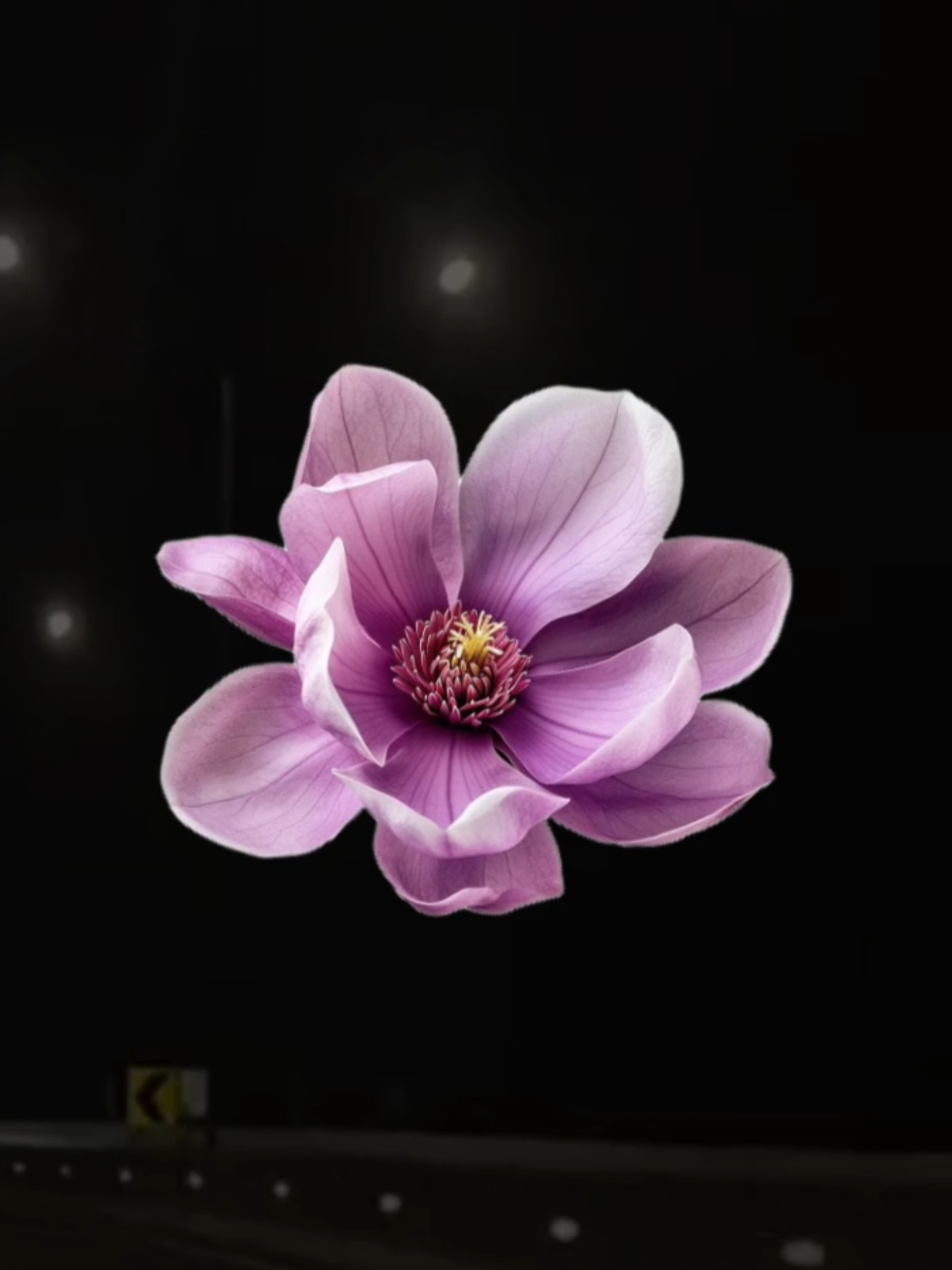 @𝐗𝐕𝐈 𝐀.𝐂