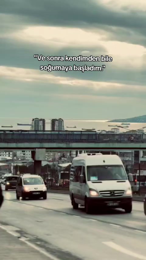 @𝘚𝘵𝘰𝘳𝘺 𝘚𝘢𝘺𝘧𝘢𝘮💫