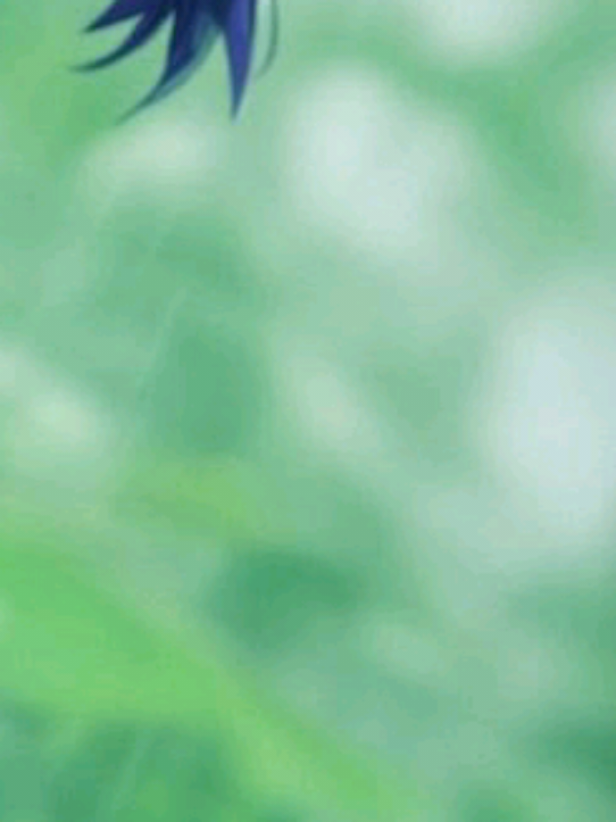 @ʀʏʏ.