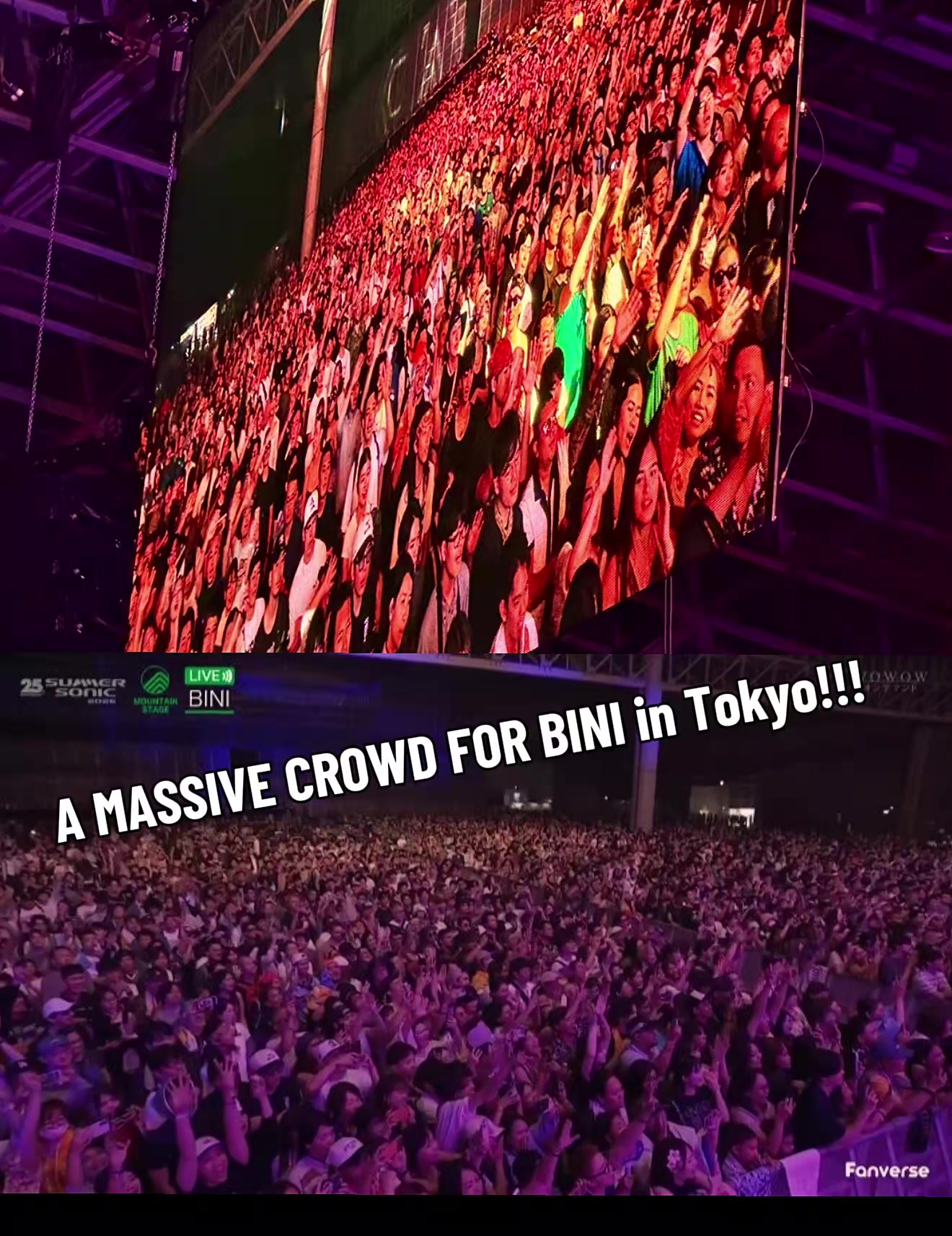 @乙ie 🌙