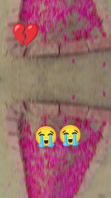 @🦋Fatima❣️Bilal🦋