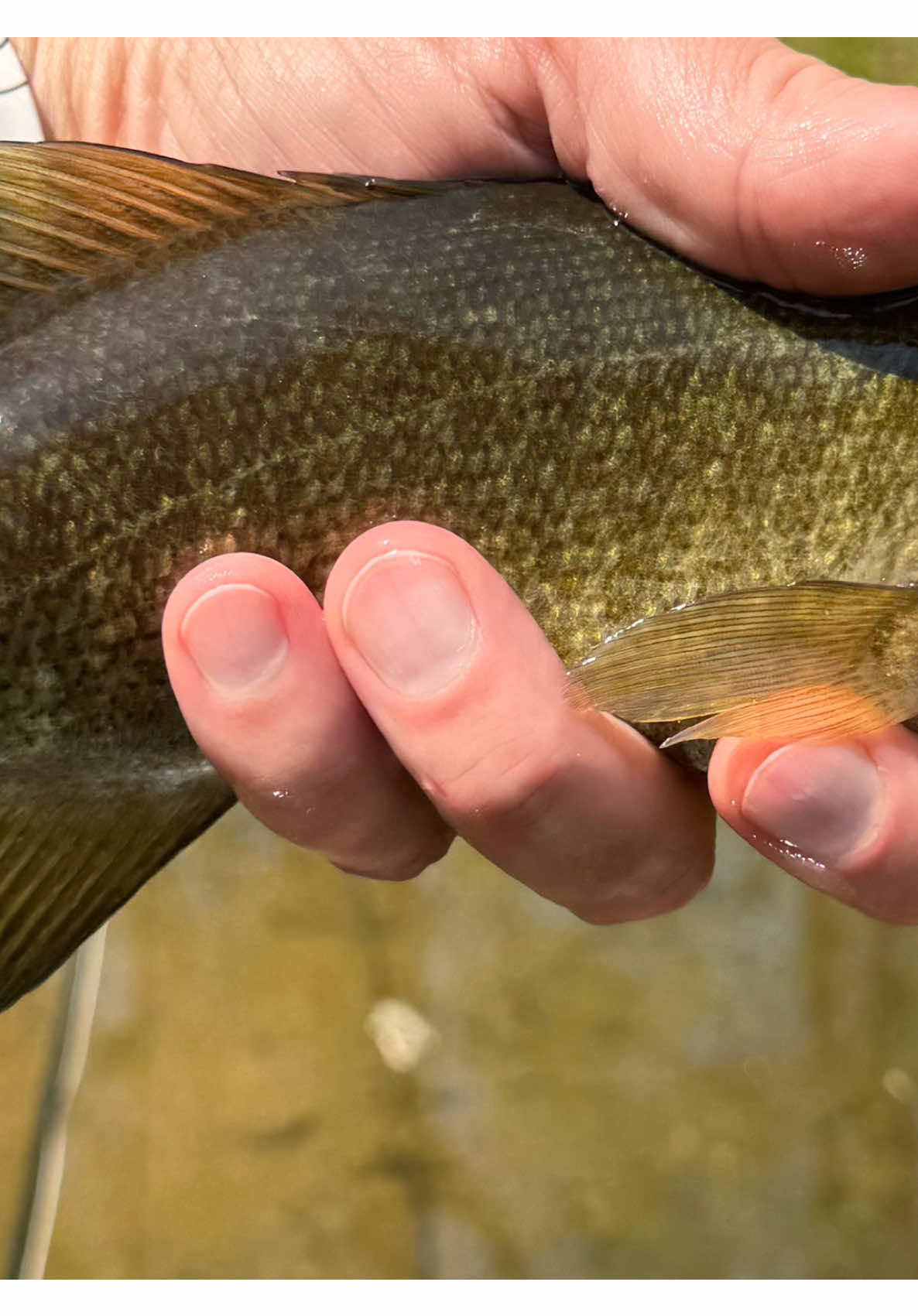 @FlyFishDelawhere