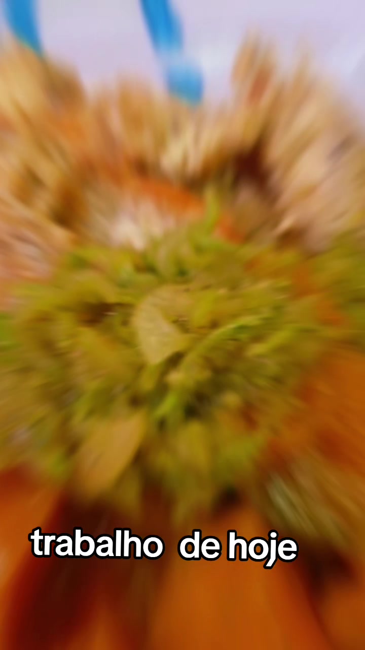 @Bahiana