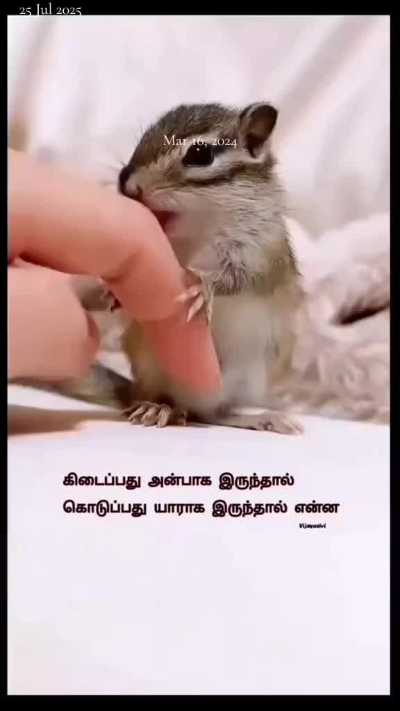 @💙🇱🇰Kuttyma🇨🇭💙