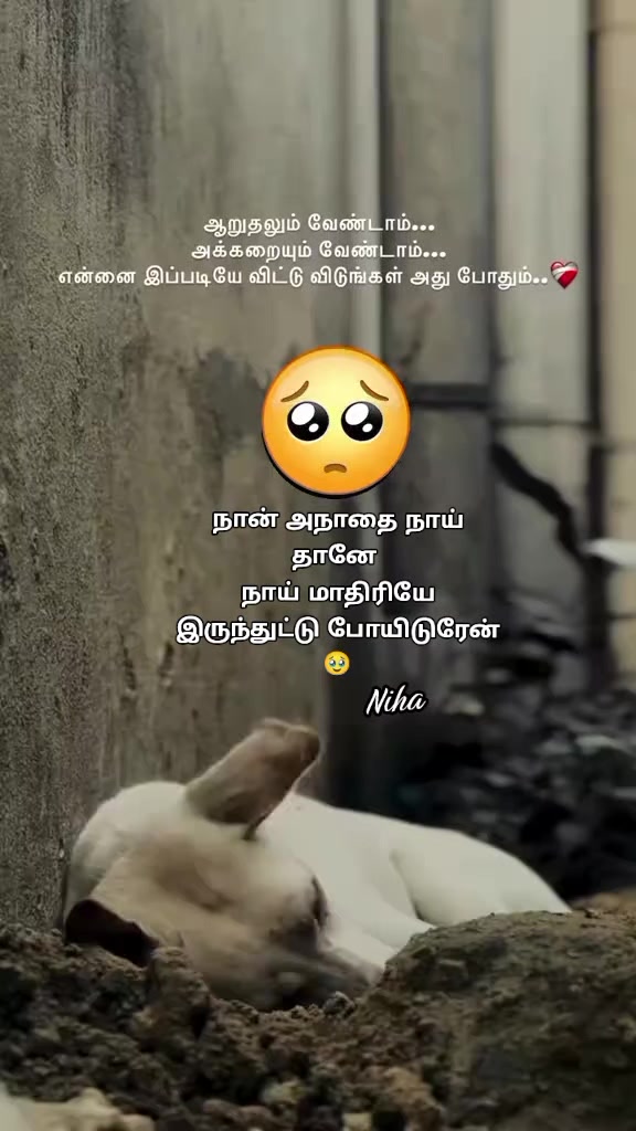 @@⏤͟✧𓆩 Niha &hearts;️ 🕊️✿͜͡࿐