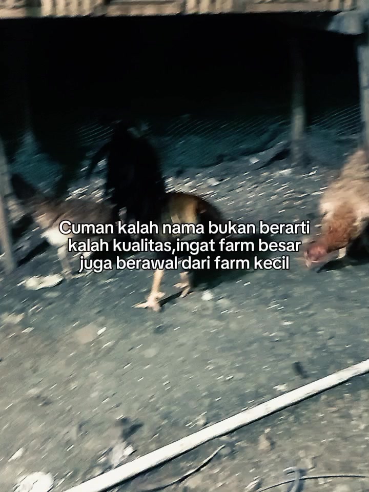 @Fandi lamatenggo