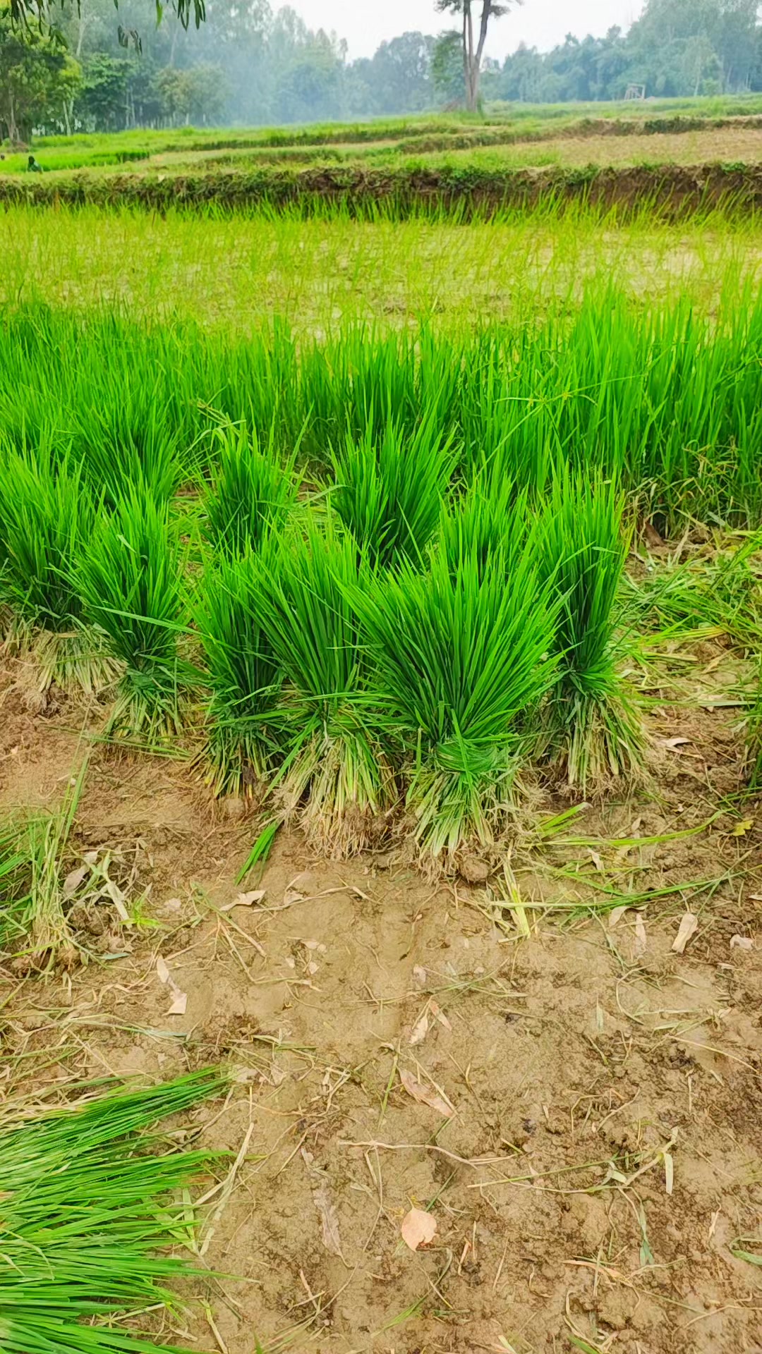 @NR nishad raj sahani