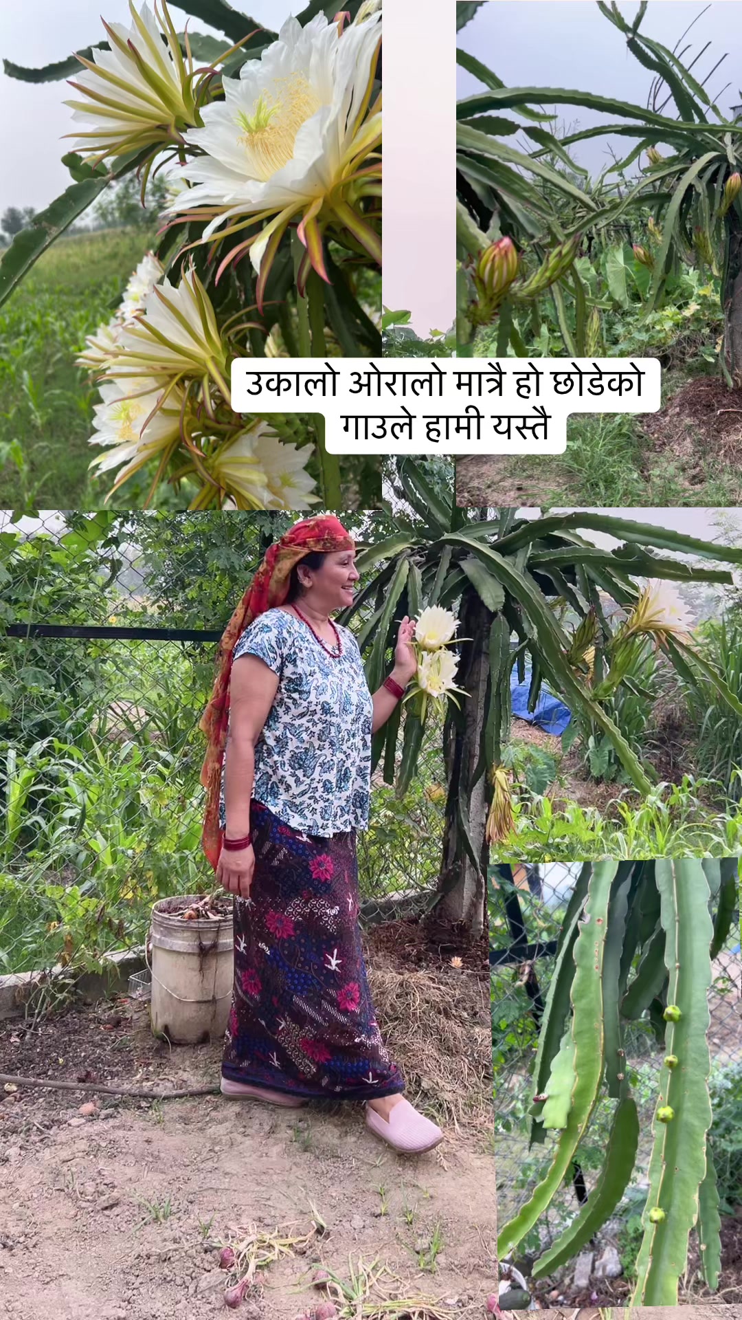 @Sita Thapa